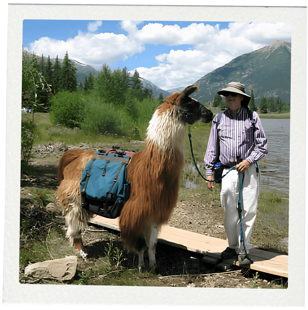 Twin Lakes tour